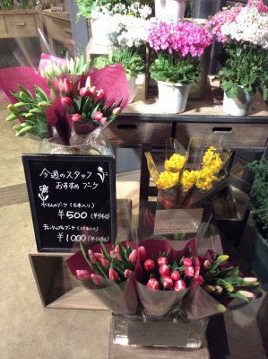 春咲き球根と早春の花