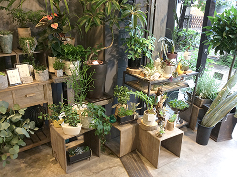 2015.7.6店